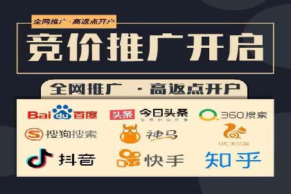 百度竞价账户管理工具推荐：实战案例与使用技巧